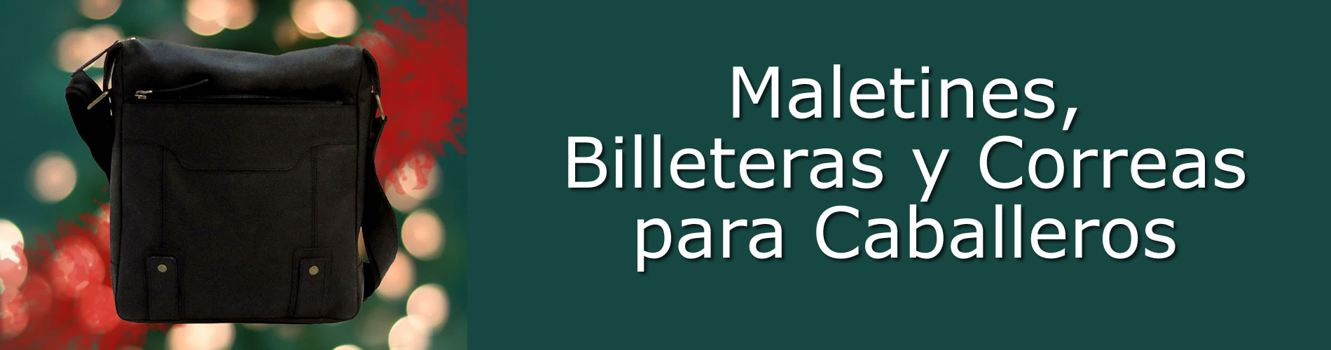 Banner maletines y correas para caballeros