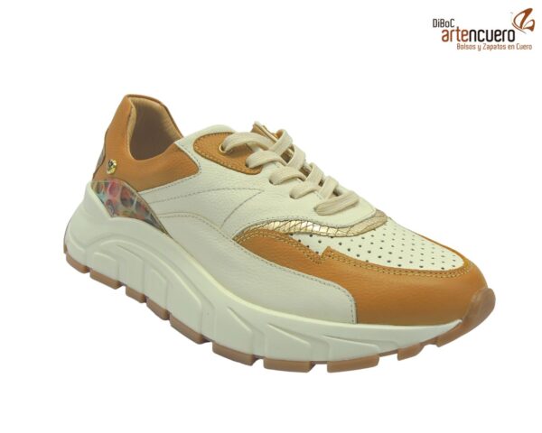 Tenis tampa.